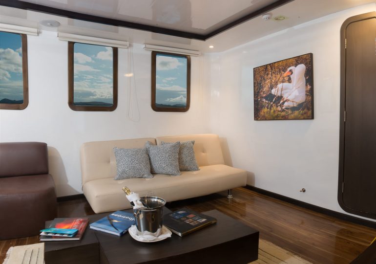 Galapagos Luxury Cruise - Cormorant Yacht - Suite Lounge