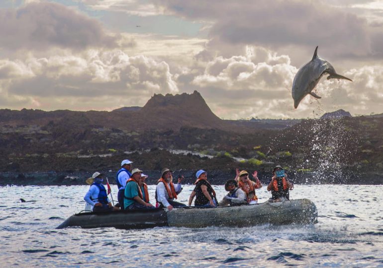 Isabella II Galapagos Cruise-dolphin-sombrero-chino